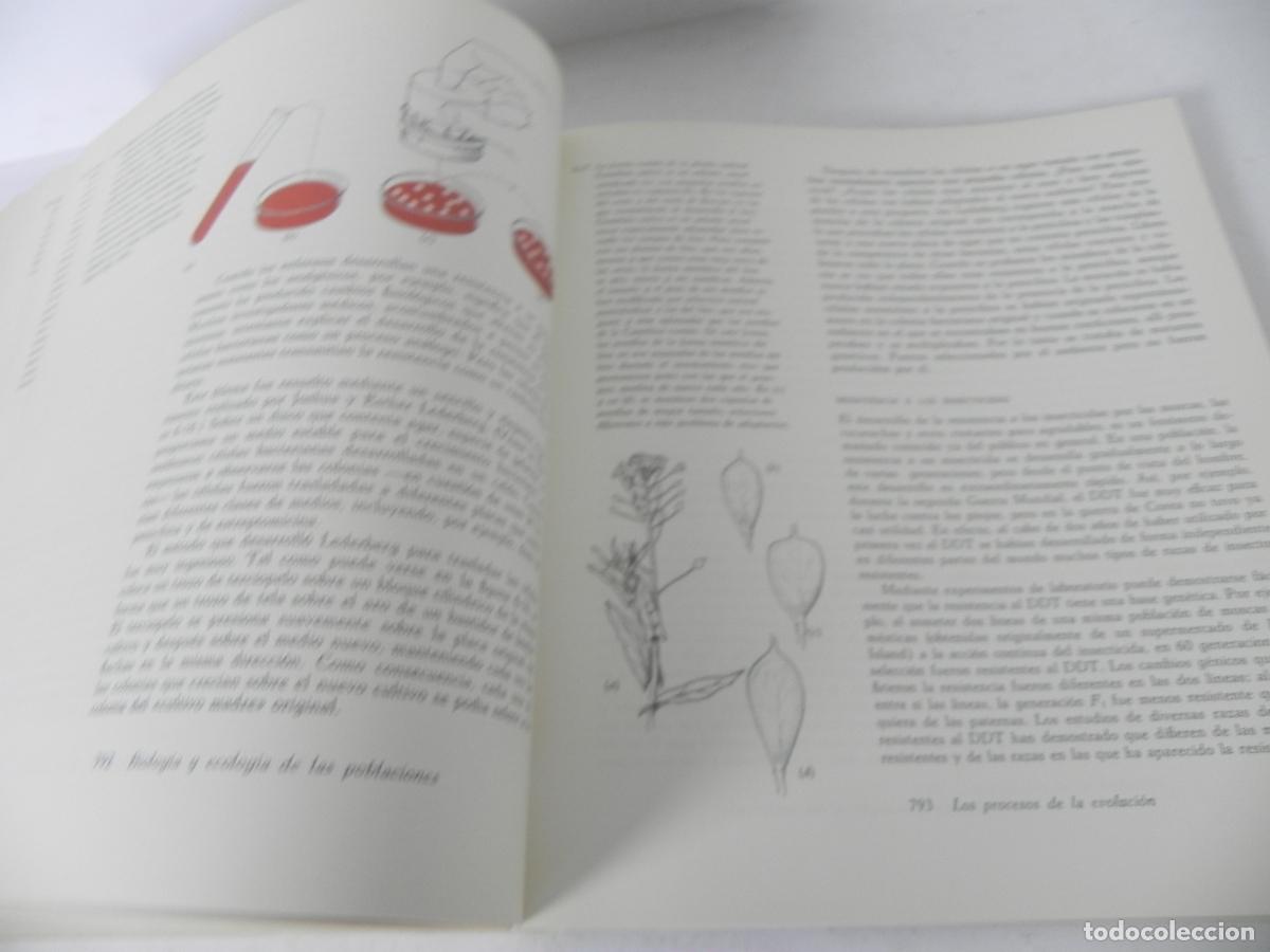 Libros de segunda mano: BIOLOG&Iacute;A (HELENA CURTIS) OMEGA-1972 - Foto 13