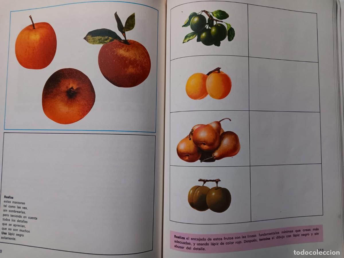 Libros de segunda mano: libro escolar sexto de egb observo y dibujo eldevives 1975 - Foto 7