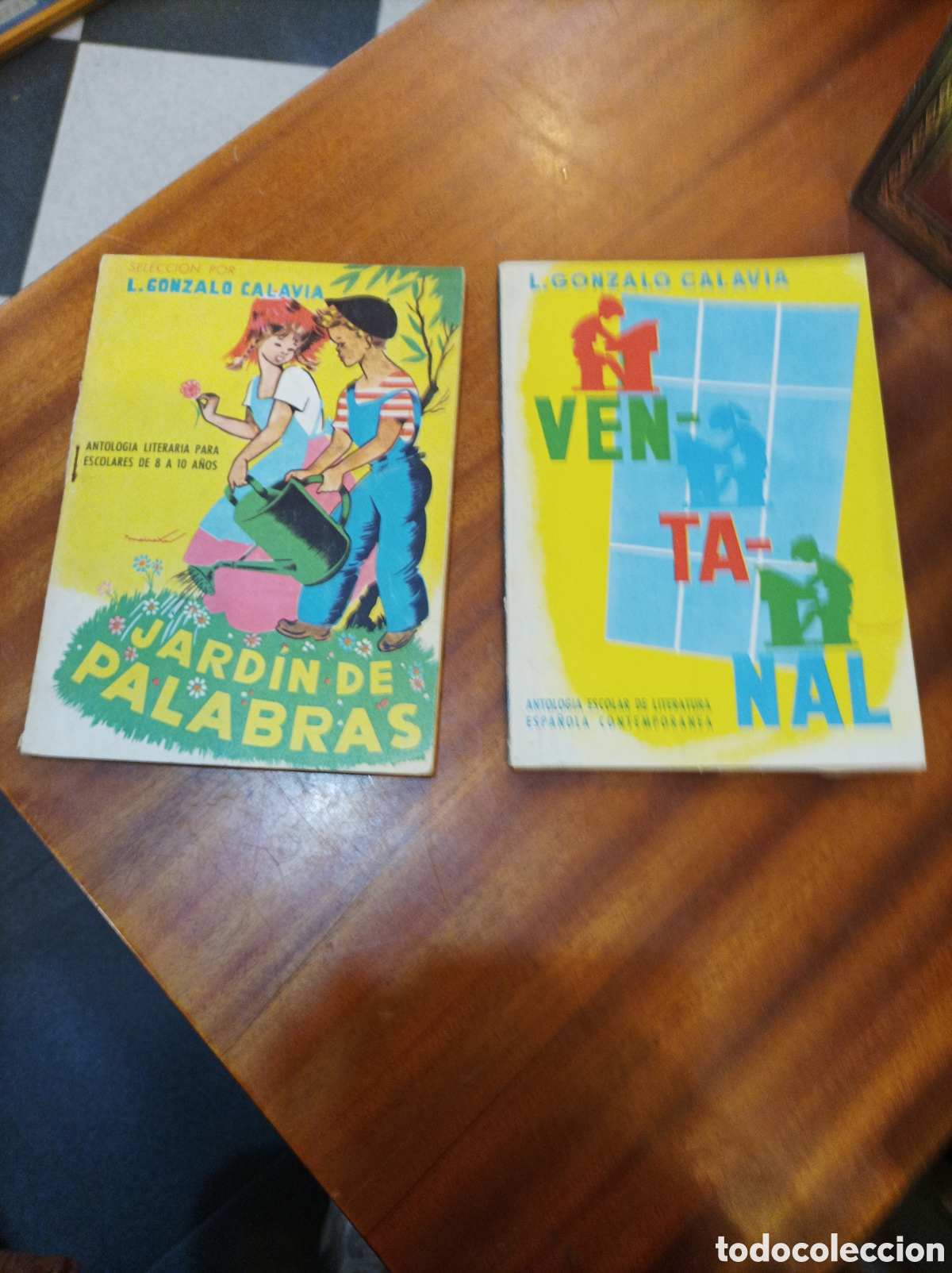 Second hand books: VENTANAL Y JARD&Iacute;N DE PALABRAS.ANTOLOGIA LITERARIA.L.GONZALO CALAVIA.