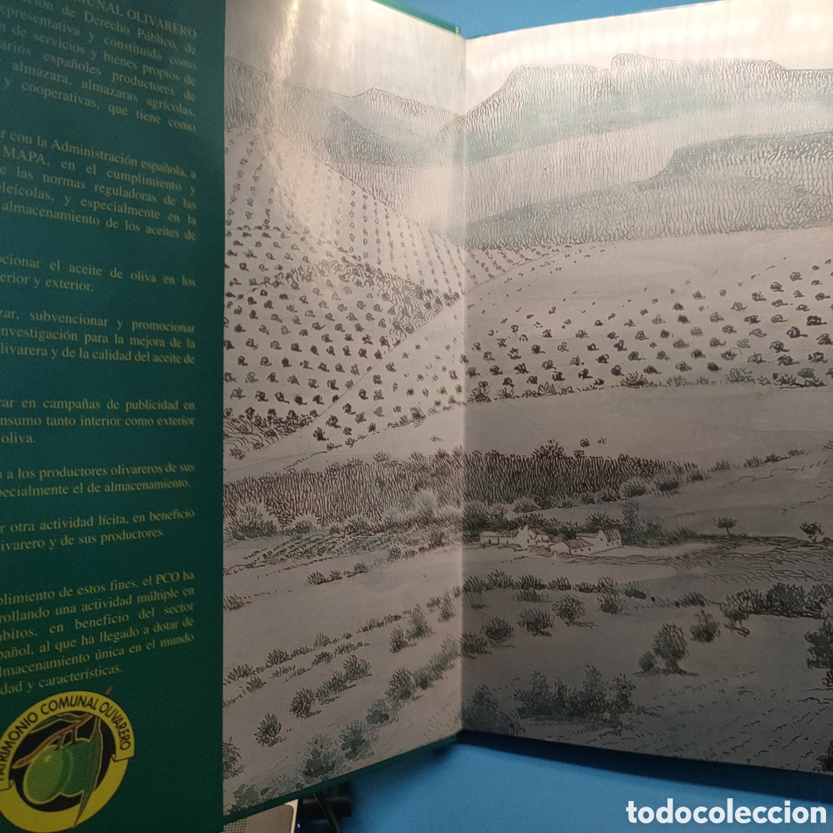 Libros de segunda mano: EL OLIVO. Entre el cielo y la tierra. - Foto 2