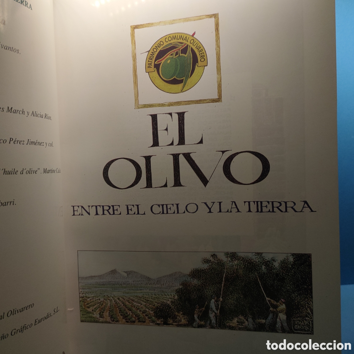 Libros de segunda mano: EL OLIVO. Entre el cielo y la tierra. - Foto 4