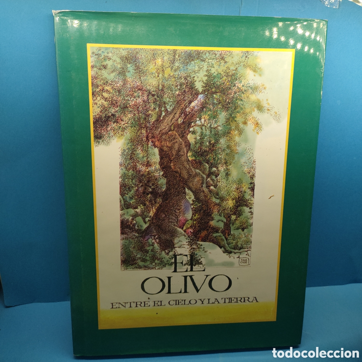 Livros em segunda m&atilde;o: EL OLIVO. Entre el cielo y la tierra.