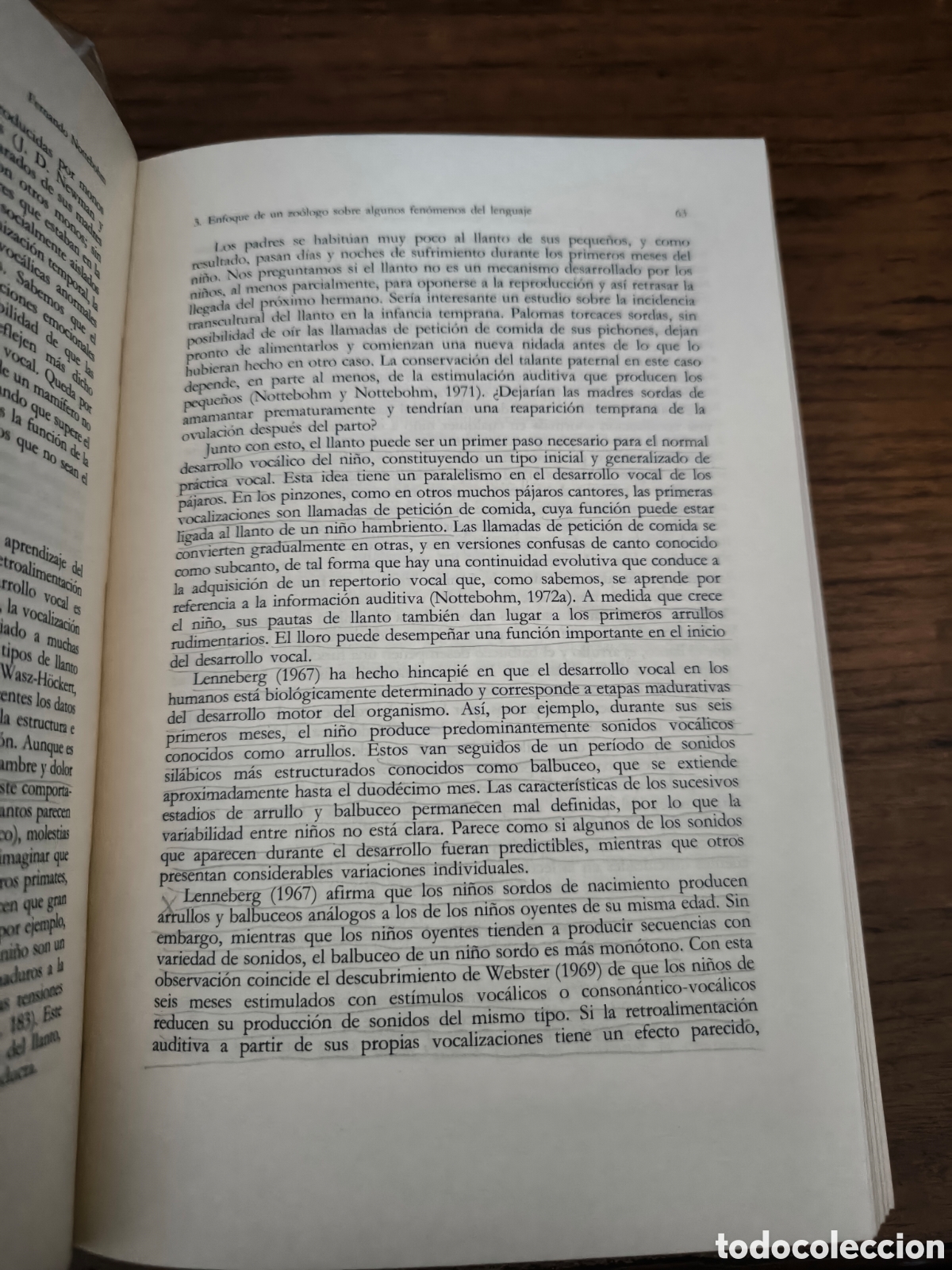 Libros de segunda mano: Fundamentos del desarrollo del lenguaje - Foto 5