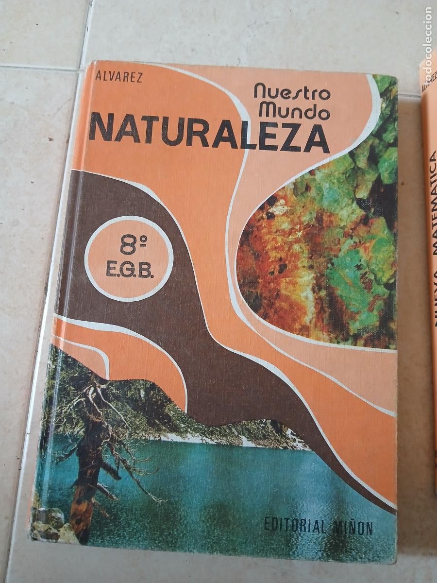 Livros em segunda m&atilde;o: Libro escolar naturaleza &Aacute;lvarez 1974