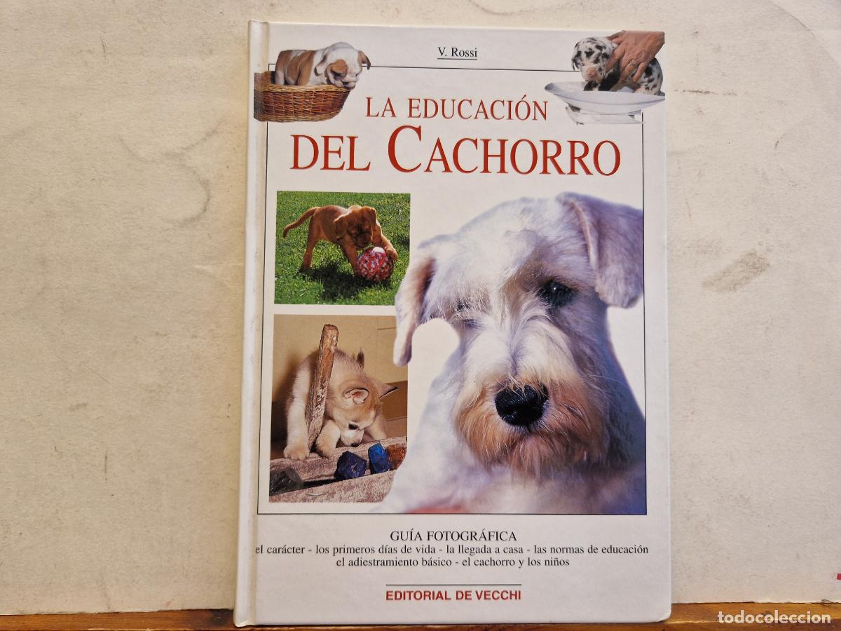 Libros de segunda mano: LA EDUCACION DEL CACHORRO. V. ROSSI. - Foto 1