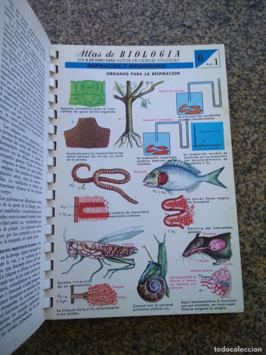 Libros de segunda mano: ATLAS DE BIOLOGIA -- JOVER 1976 -- - Foto 2