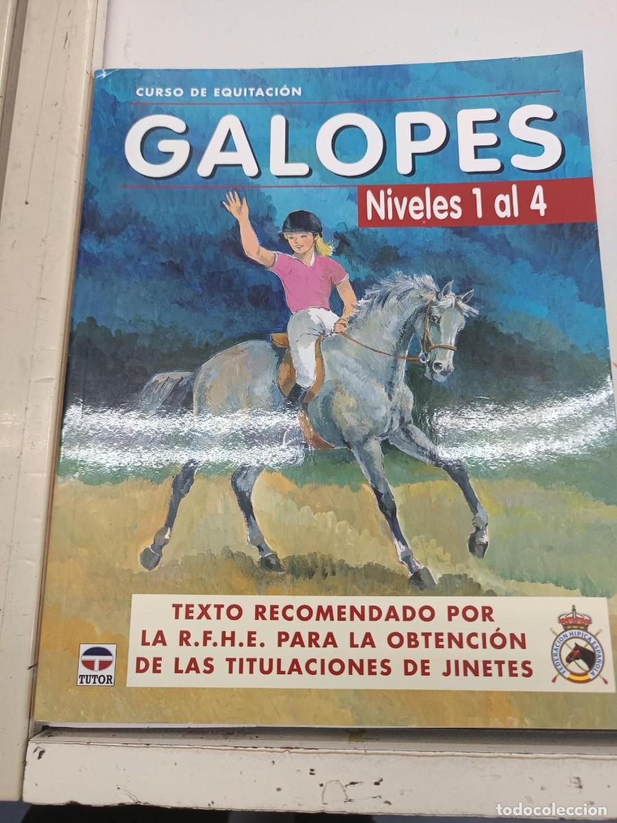 Libros de segunda mano: GALOPES CRUSO DE EQUITACION NIVELES DEL 1 AL 4 EDICIONES TUTOR - Foto 1