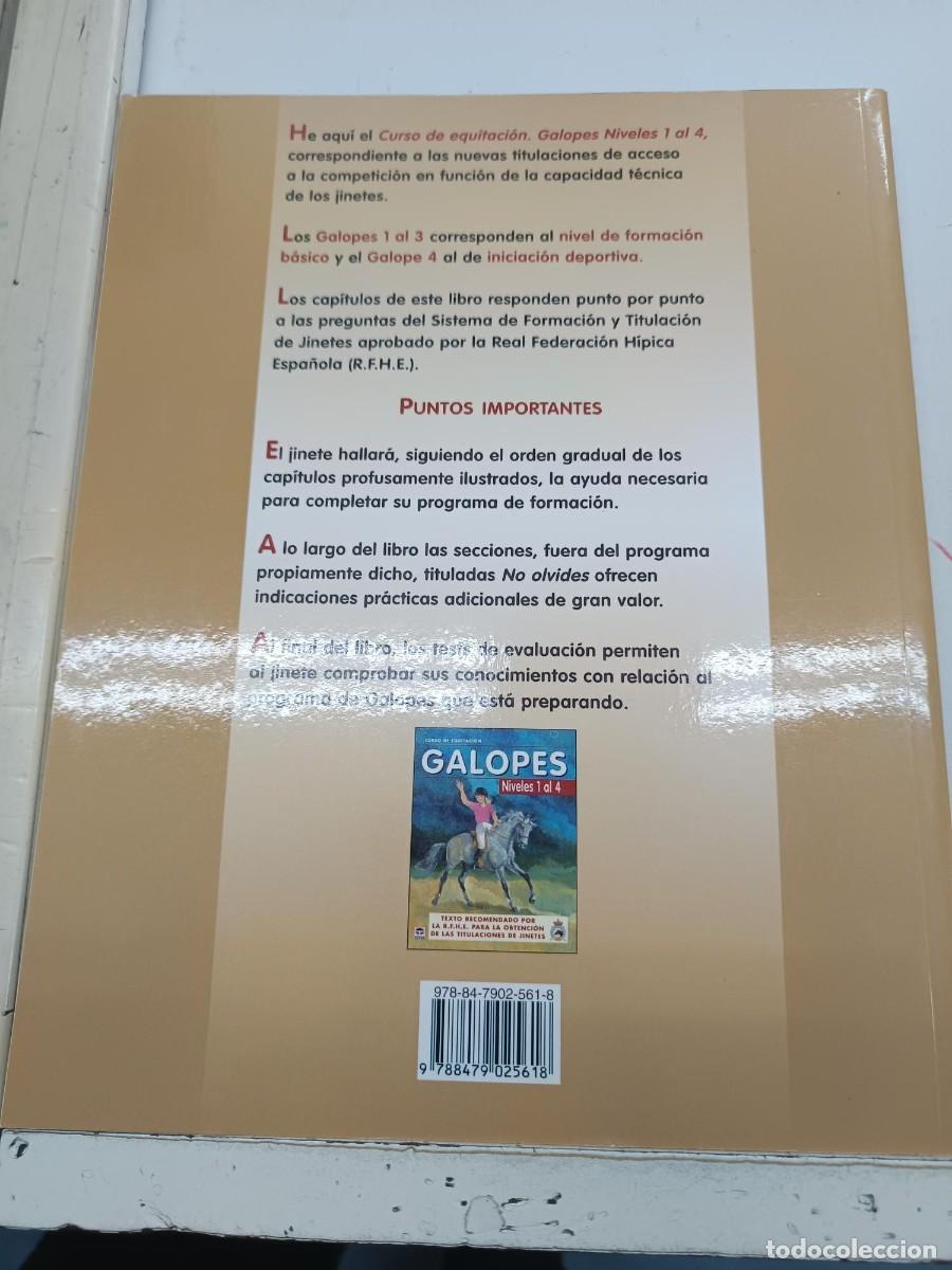 Libros de segunda mano: GALOPES CRUSO DE EQUITACION NIVELES DEL 1 AL 4 EDICIONES TUTOR - Foto 2