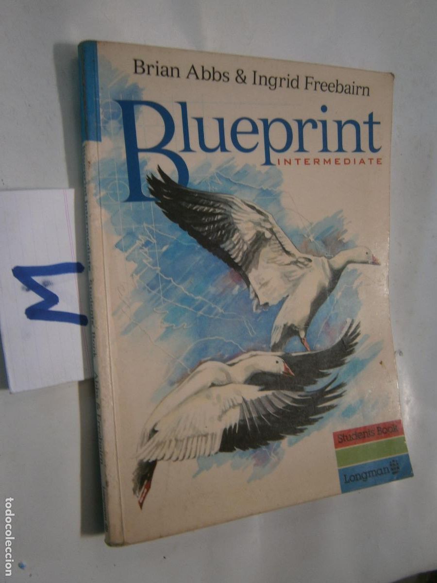 Libros de segunda mano: ANTIGUO LIBRO DE TEXTO - INGLES BLUEPRINT