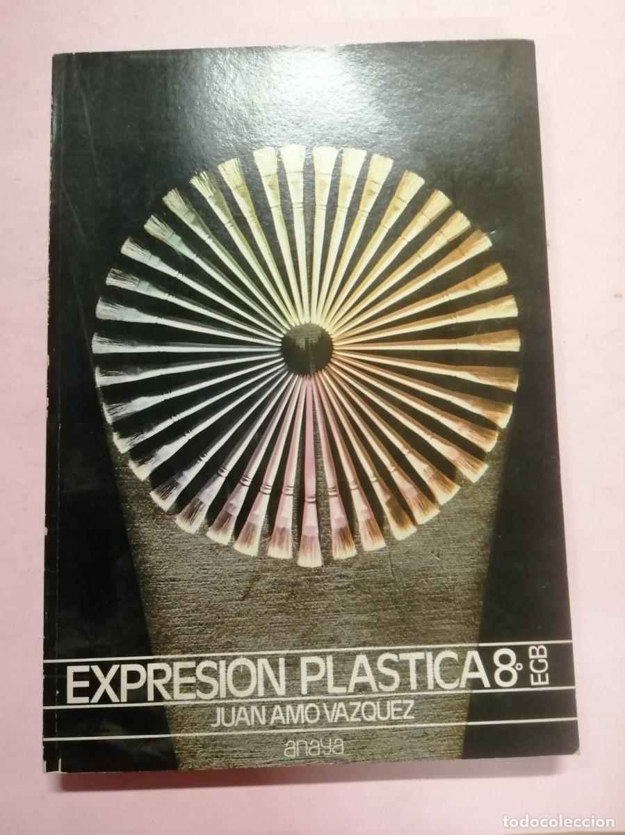 Libros de segunda mano: EXPRESION PLASTICA 8&ordm; EGB (JUAN AMO VAZQUEZ) - Foto 1