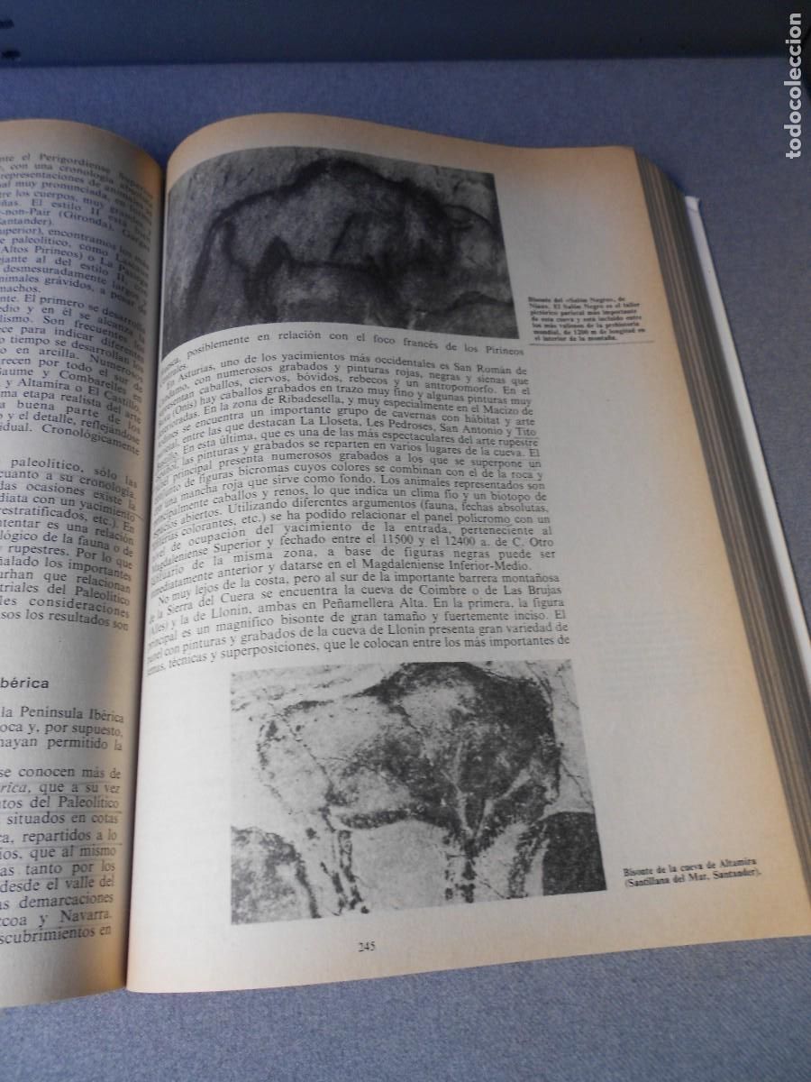 Libros de segunda mano: MANUAL DE HISTORIA UNIVERSAL. PREHISTORIA - Foto 11
