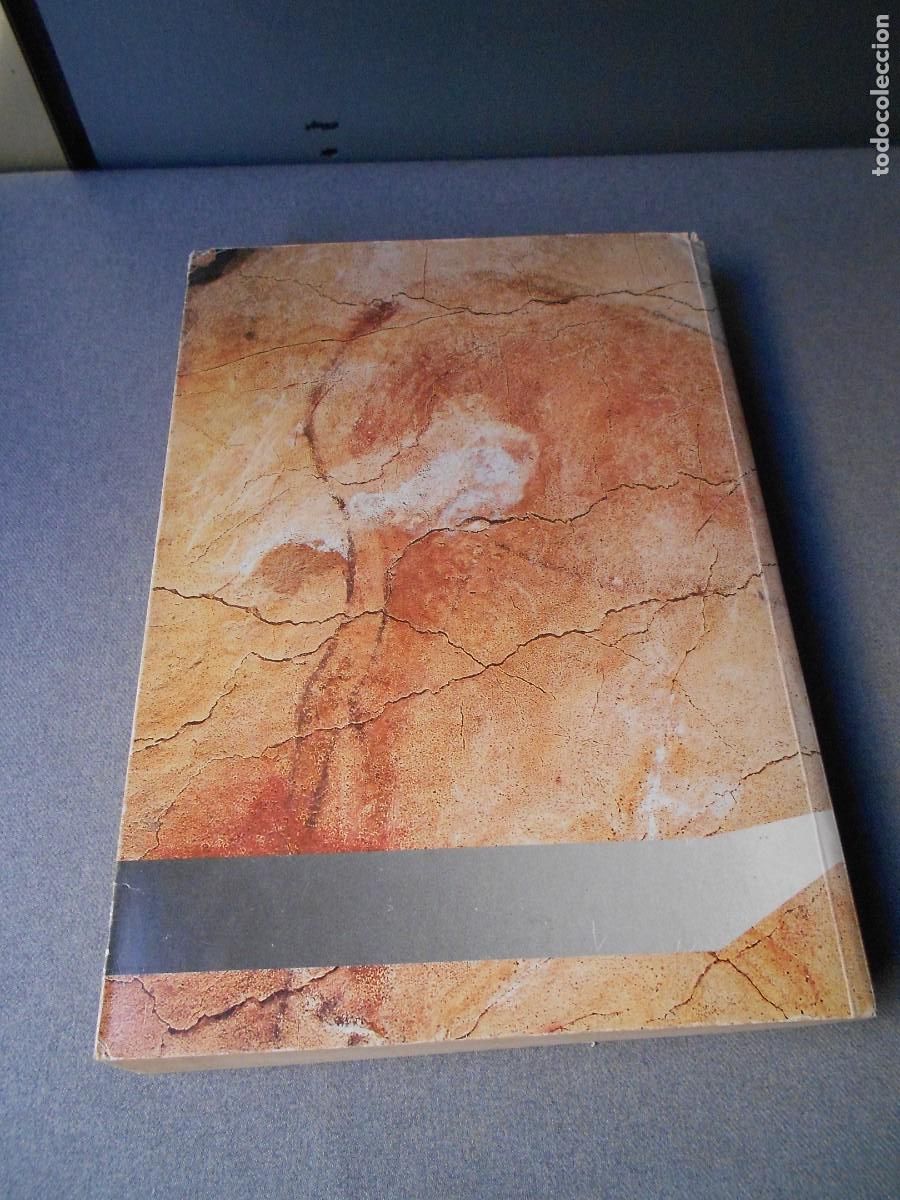 Libros de segunda mano: MANUAL DE HISTORIA UNIVERSAL. PREHISTORIA - Foto 15