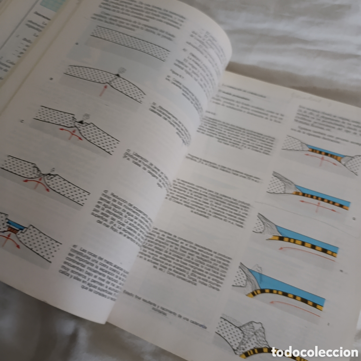 Libros de segunda mano: CIENCIAS NATURALES 3 BUP,A&Ntilde;O 1989, ECIR - Foto 2