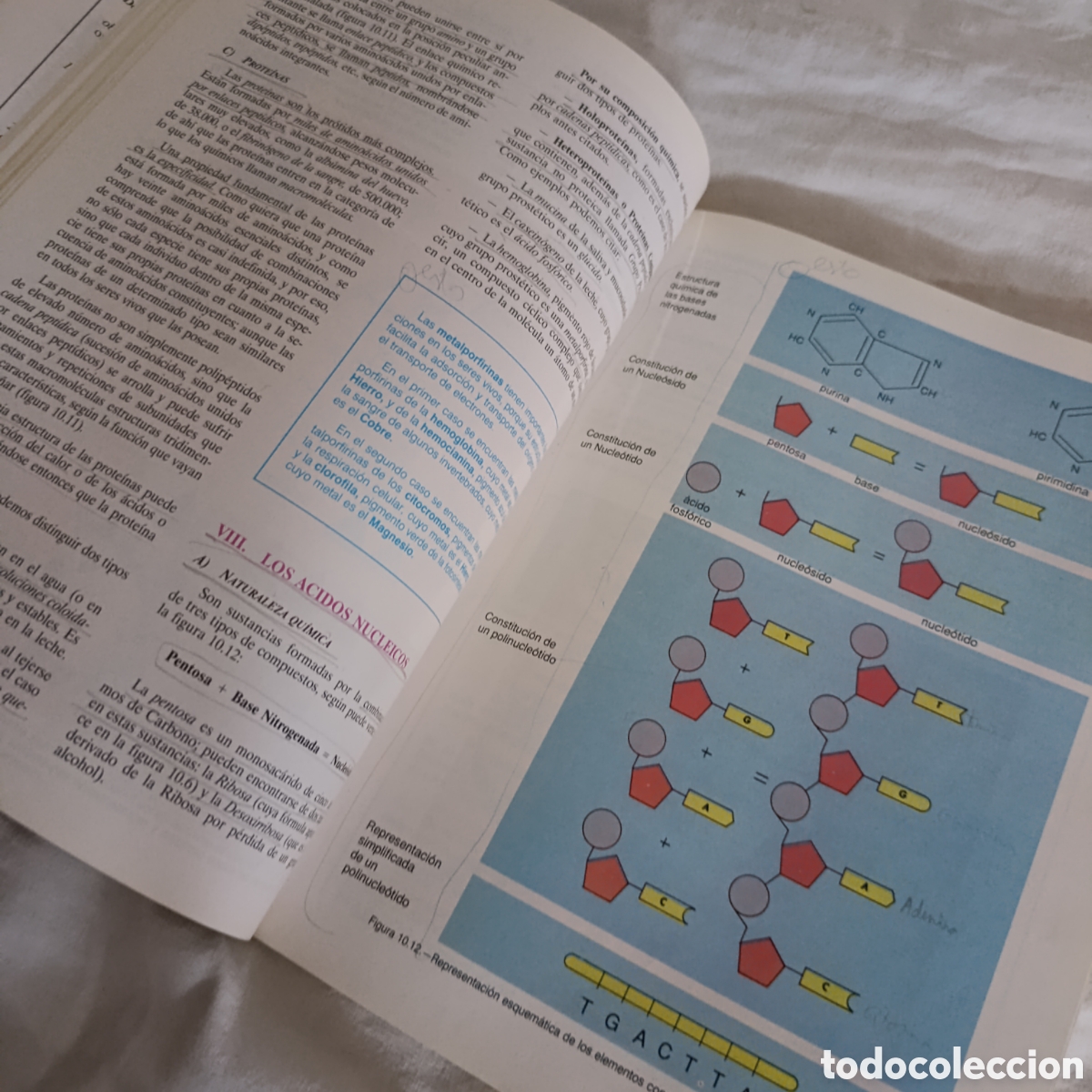 Libros de segunda mano: CIENCIAS NATURALES 3 BUP,A&Ntilde;O 1989, ECIR - Foto 3