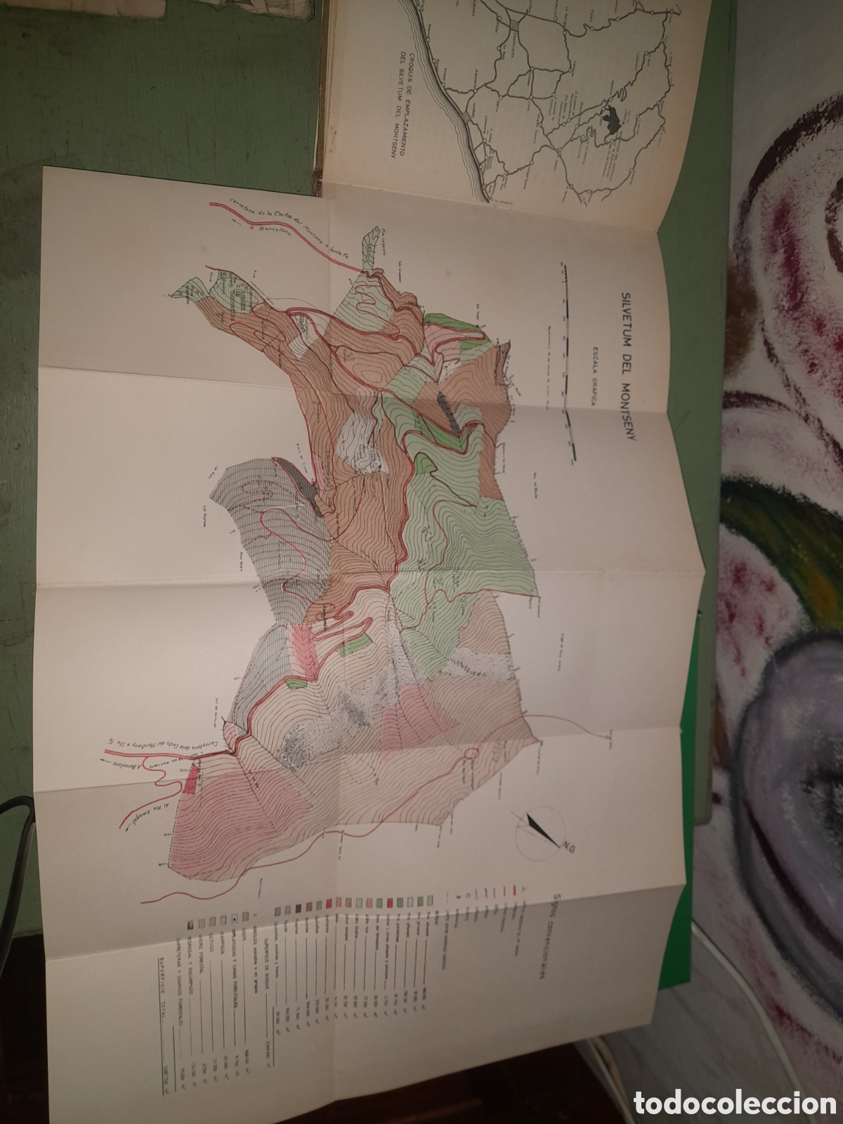 Libros de segunda mano: El bosque ,en el silvetum del Montseny - Foto 5
