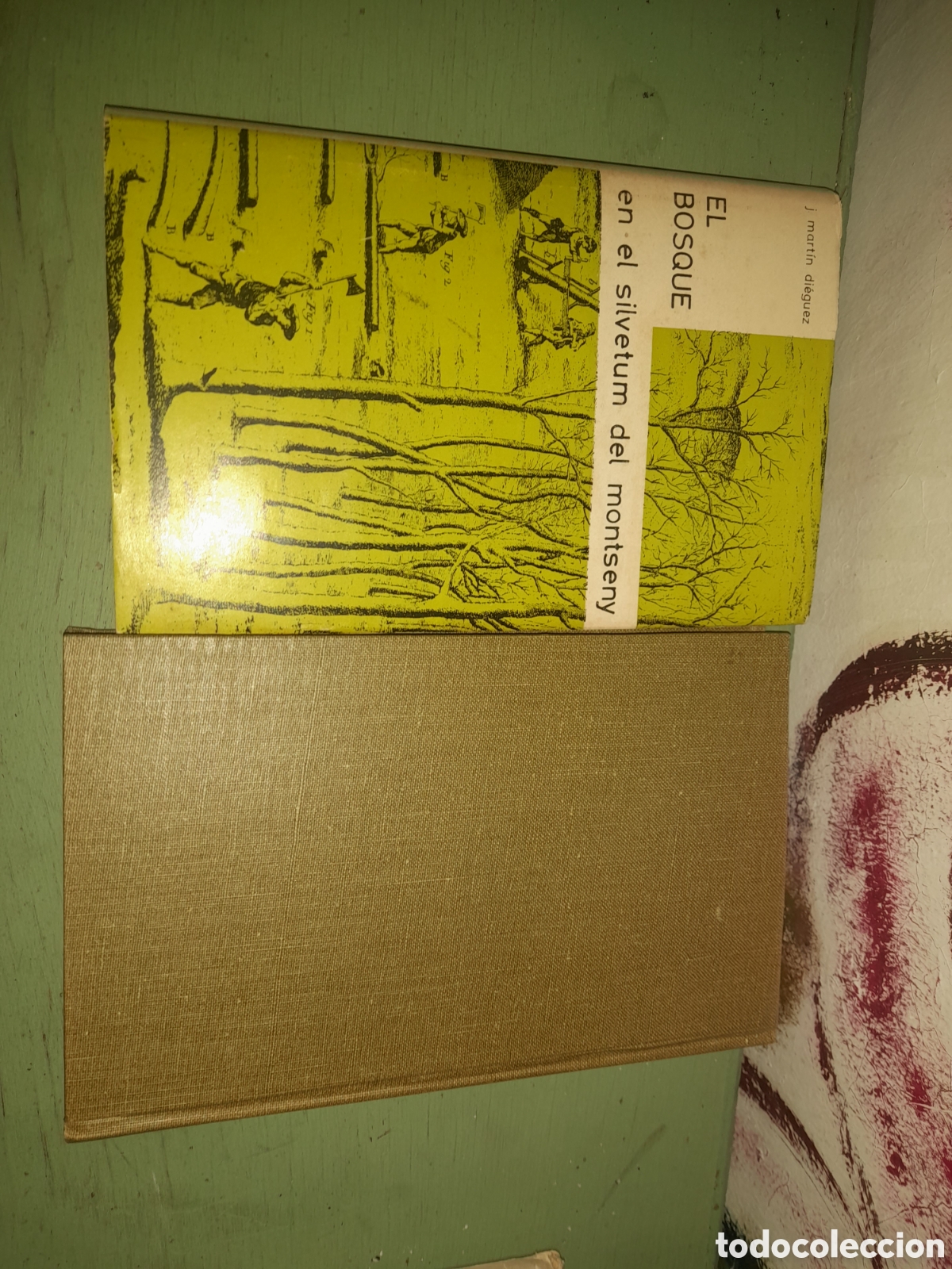 Libros de segunda mano: El bosque ,en el silvetum del Montseny - Foto 11