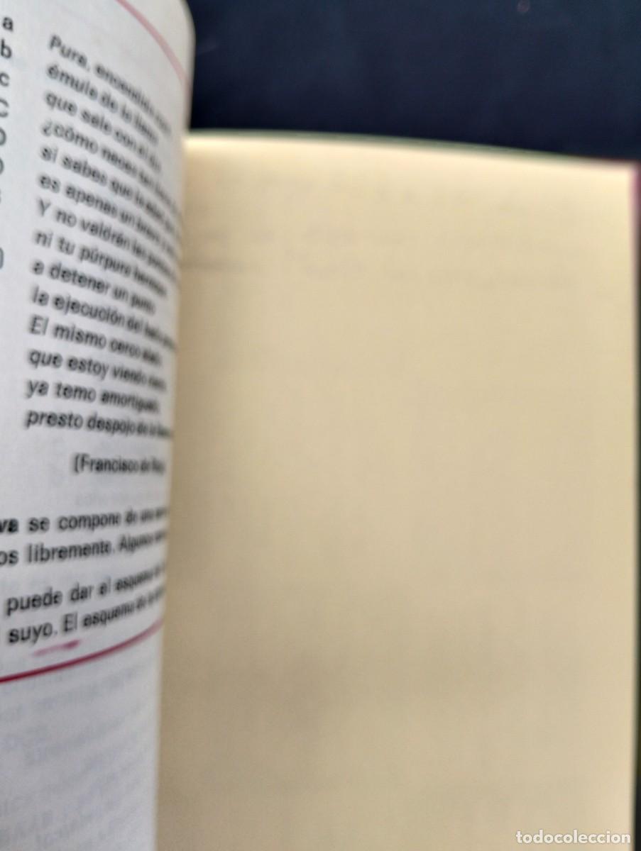 Libros de segunda mano: Libro Texto Norma Lenguje 7 Educacion santillana EGB - Foto 8