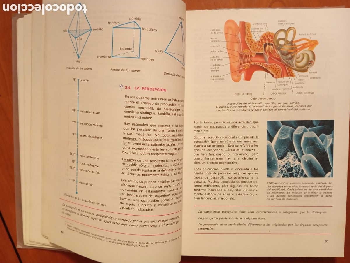 Libros de segunda mano: FILOSOFIA. EDELVIVES, 3&deg;CURSO. - Foto 8