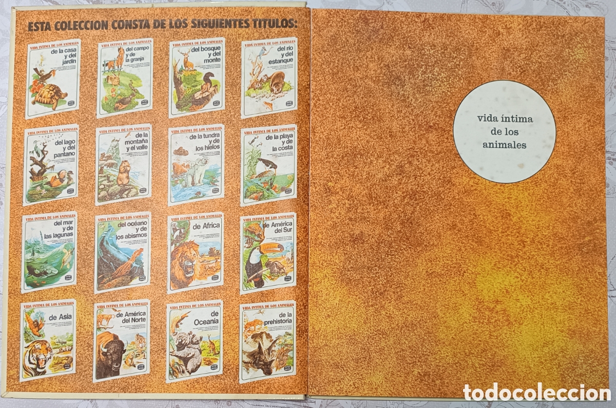 Libros de segunda mano: Vida intima de los animales de Am&eacute;rica del Norte - Foto 3