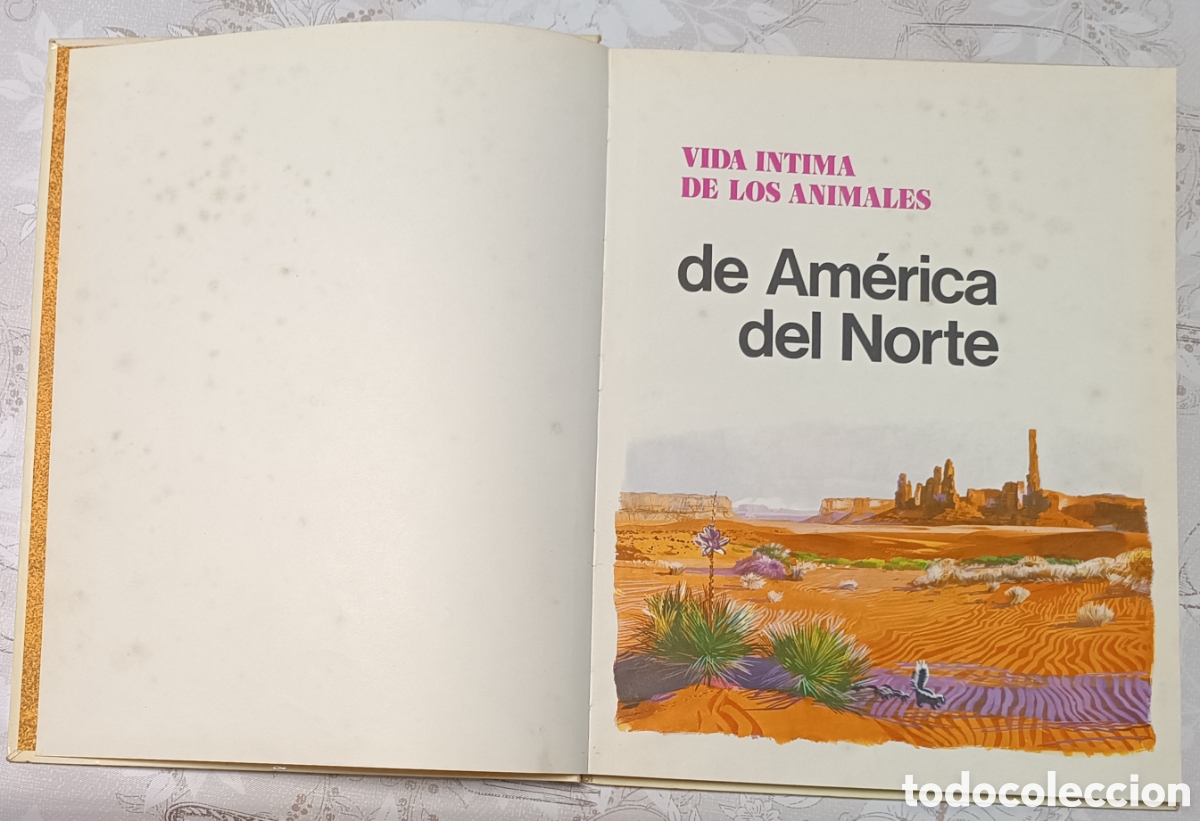 Libros de segunda mano: Vida intima de los animales de Am&eacute;rica del Norte - Foto 4