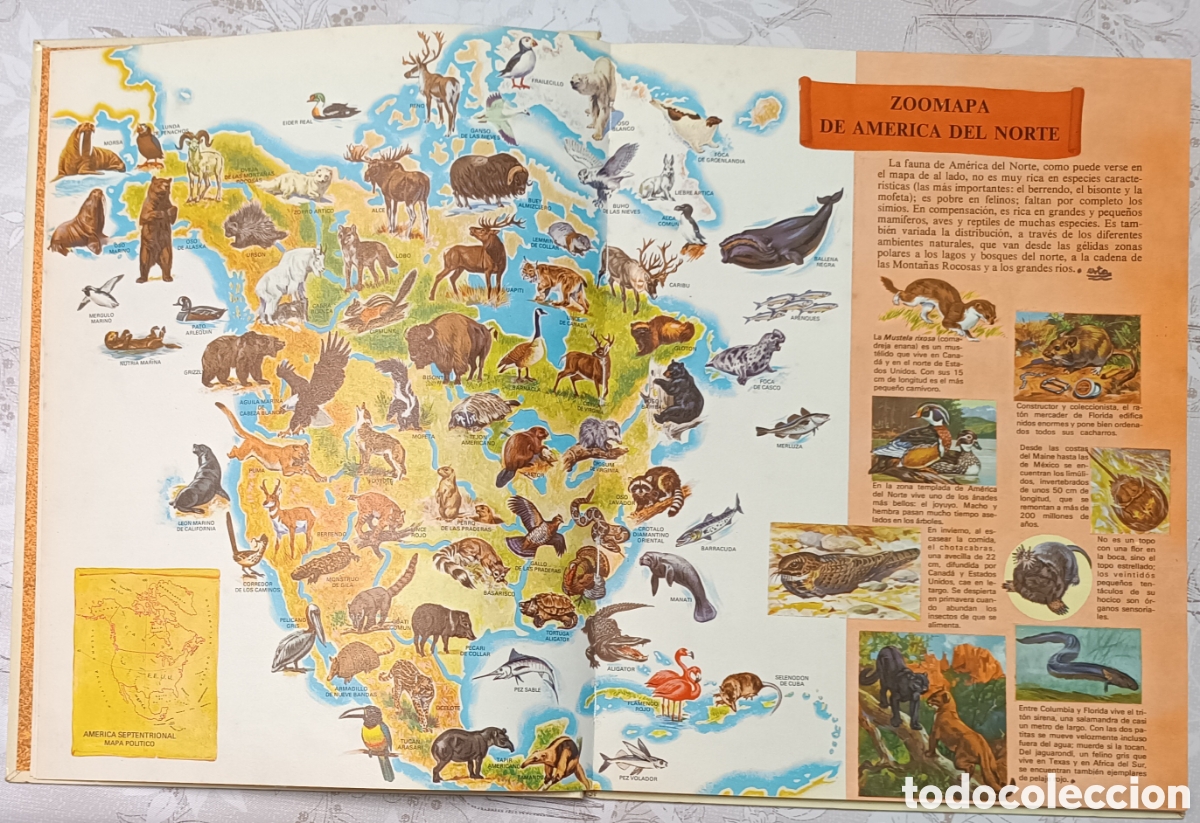 Libros de segunda mano: Vida intima de los animales de Am&eacute;rica del Norte - Foto 6