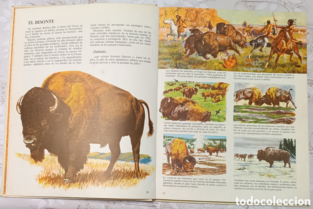 Libros de segunda mano: Vida intima de los animales de Am&eacute;rica del Norte - Foto 7