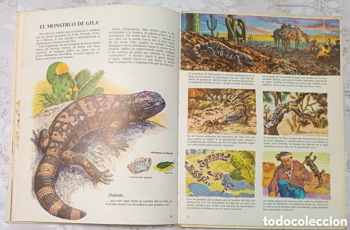Libros de segunda mano: Vida intima de los animales de Am&eacute;rica del Norte - Foto 8