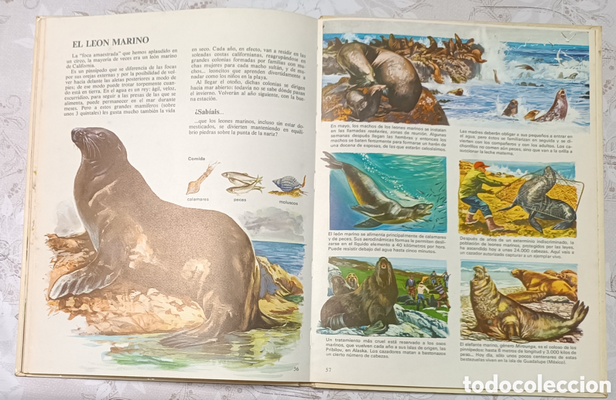 Libros de segunda mano: Vida intima de los animales de Am&eacute;rica del Norte - Foto 10