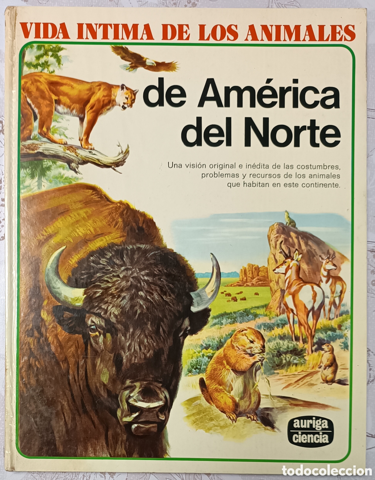 Libros de segunda mano: Vida intima de los animales de Am&eacute;rica del Norte - Foto 1