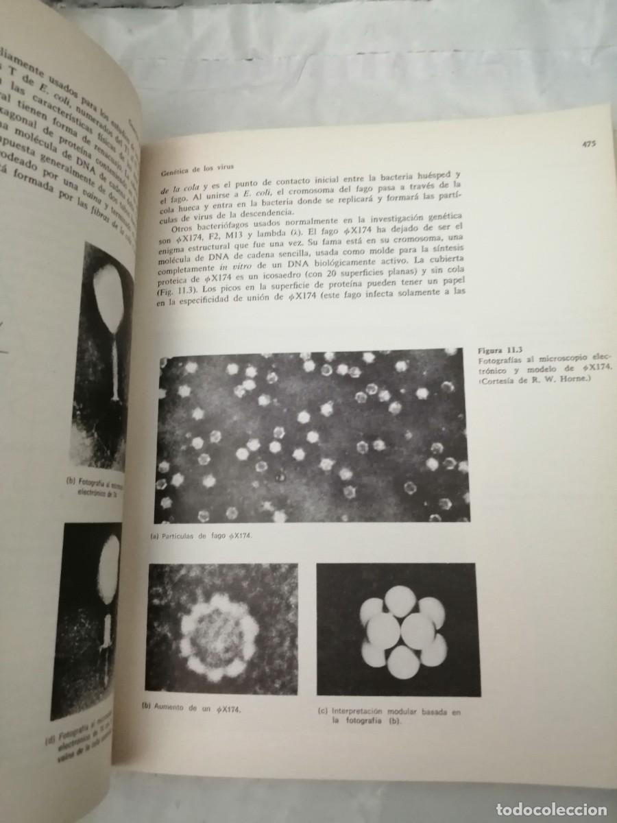 Libros de segunda mano: John B. Jenkins: Gen&eacute;tica - Foto 3