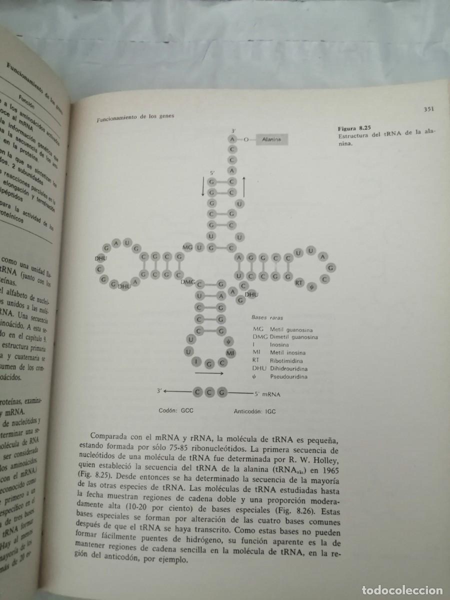 Libros de segunda mano: John B. Jenkins: Gen&eacute;tica - Foto 4