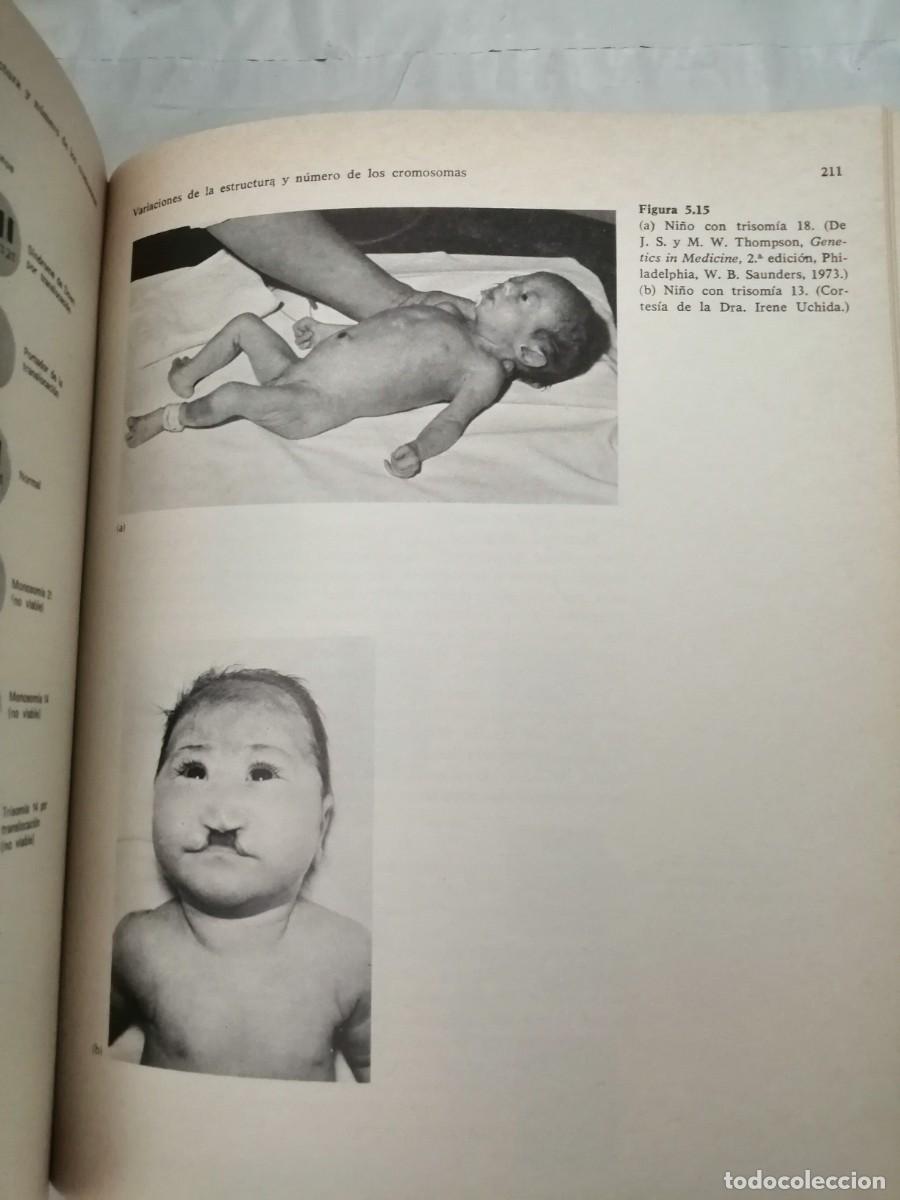 Libros de segunda mano: John B. Jenkins: Gen&eacute;tica - Foto 5