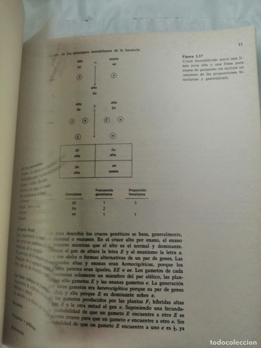 Libros de segunda mano: John B. Jenkins: Gen&eacute;tica - Foto 8