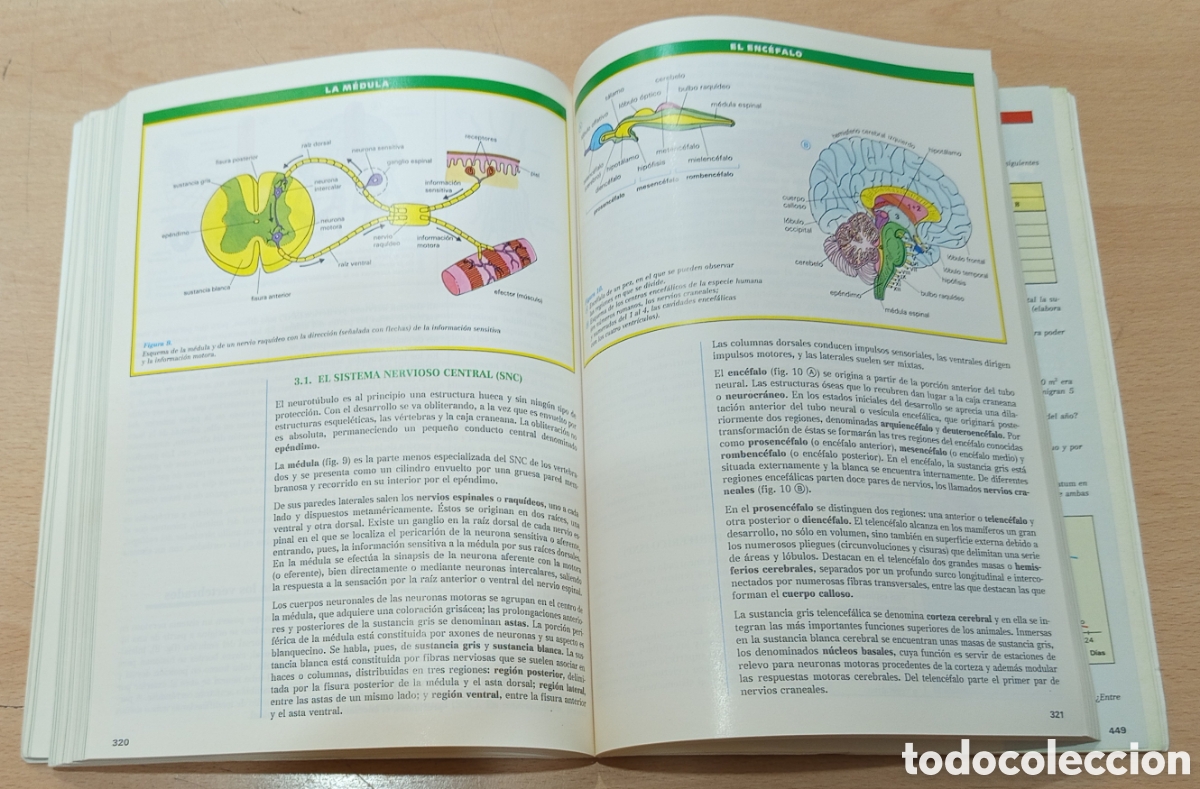 Libros de segunda mano: Biolog&iacute;a. COU. Santillana 1991 - Foto 3