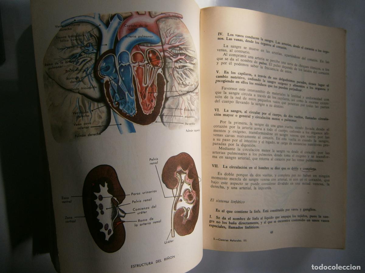 Libros de segunda mano: ANTIGUO LIBRO DE TEXTO - CIENCIAS NATURALES 3&ordm; BUP - Foto 2
