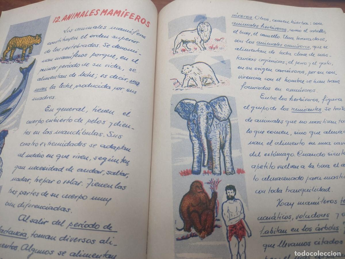 Libros de segunda mano: Hombre y trabajo. Corominas. Ed. Luce - Foto 3