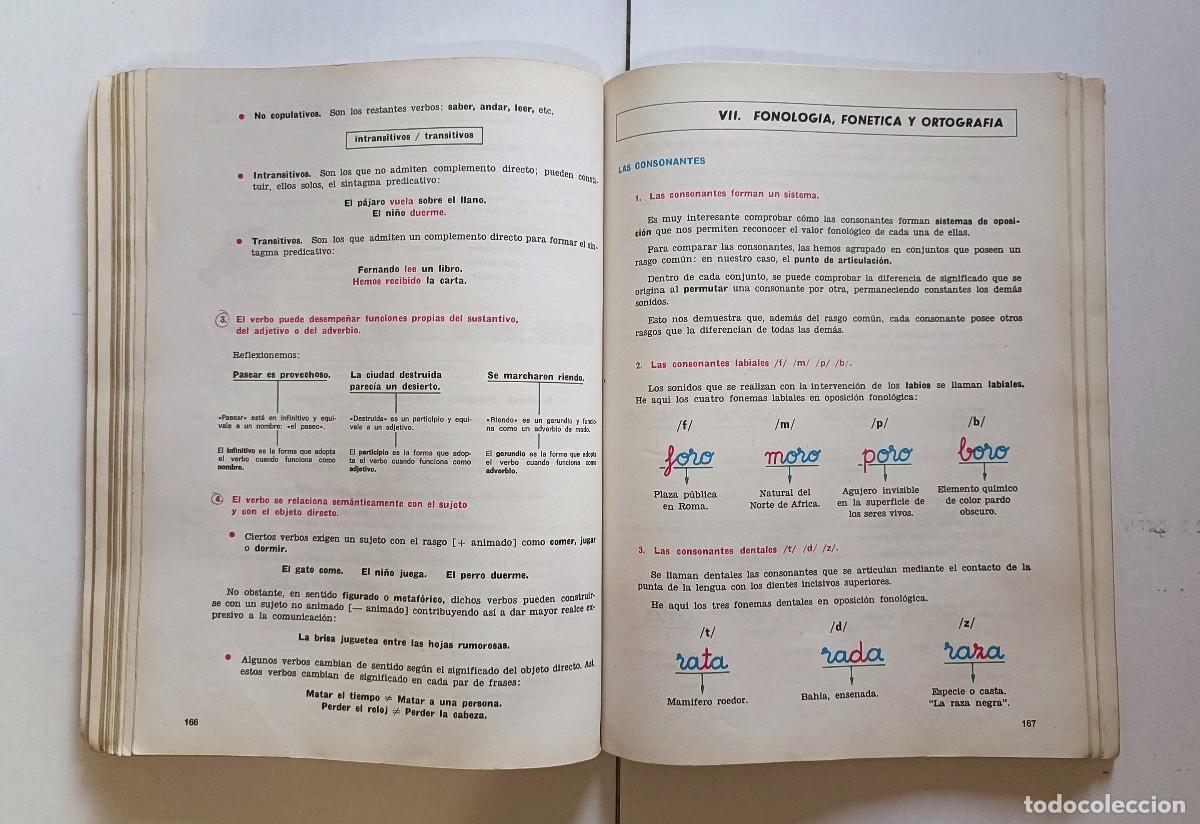 Libros de segunda mano: LIBRO LENGUAJE 7&ordm; EGB. E SANTIAGO RODR&Iacute;GUEZ. 2&ordf; Edici&oacute;n 1979. HSR - Foto 4