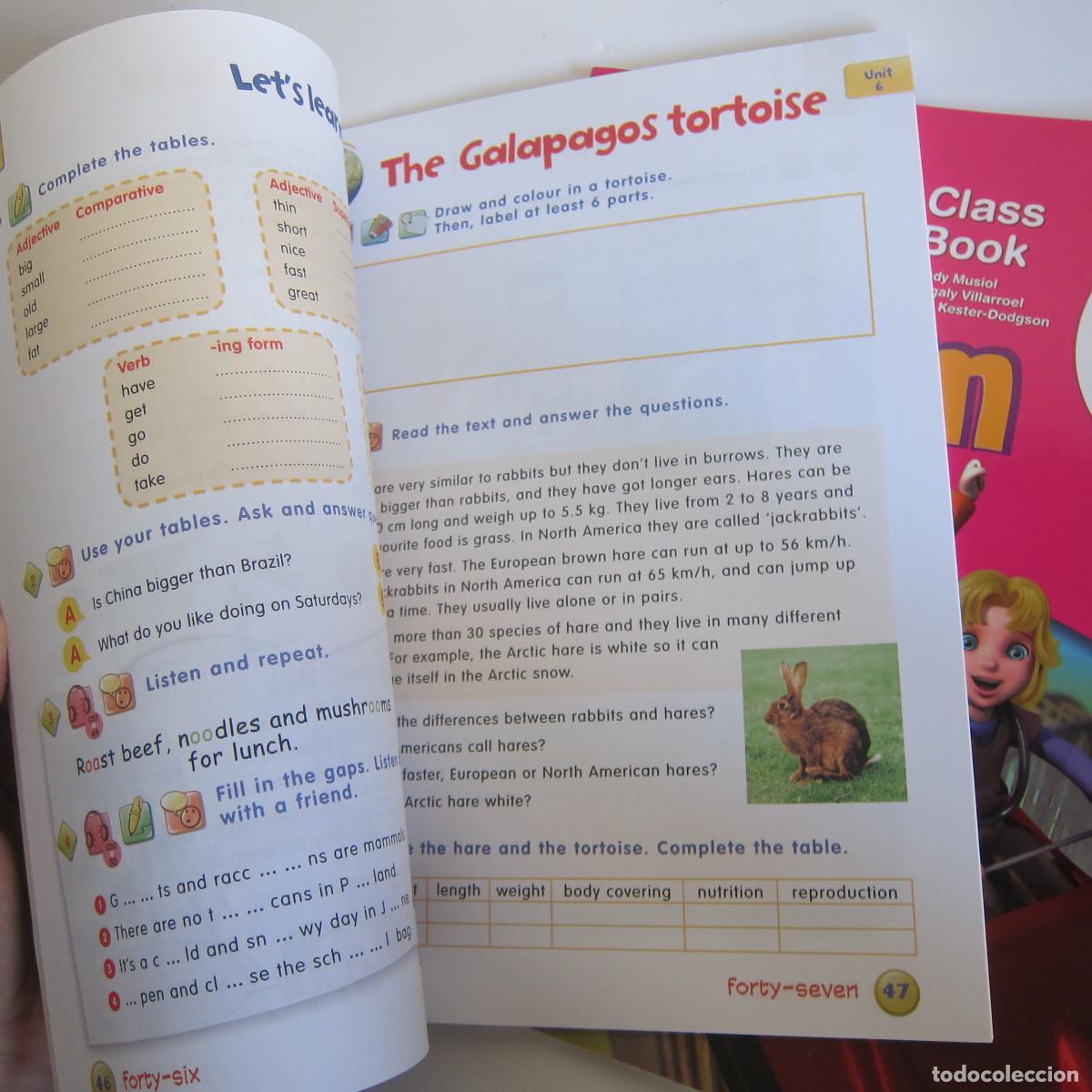 Libros de segunda mano: TOP TEAM 5 - CLASS BOOK. ACTIVITY BOOK (V&V) IDIOMAS INFANTIL - Foto 5