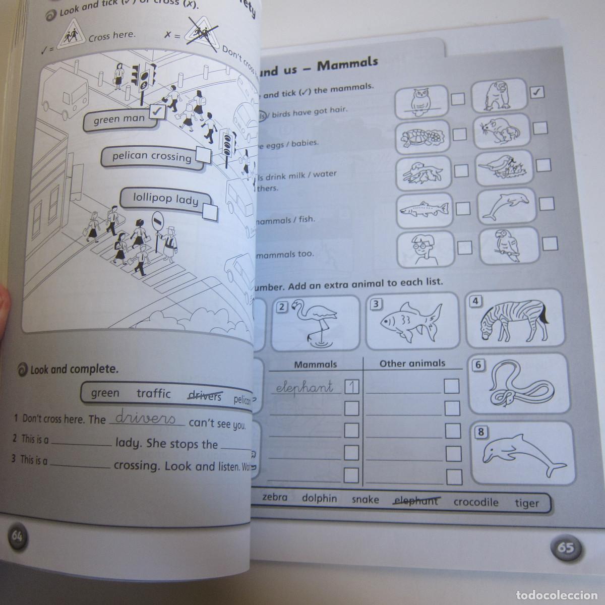 Libros de segunda mano: STAY COOL 3 - ACTIVITY WORK (OXFORD) IDIOMAS - Foto 2