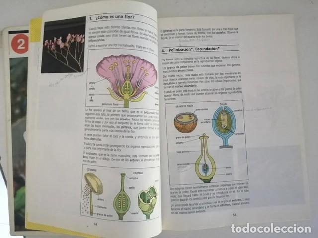 Libros de segunda mano: LIBRO E. G. B. OBSERVATORIO 7, CIENCIAS DE LA NATURALEZA. S. M. - Foto 6