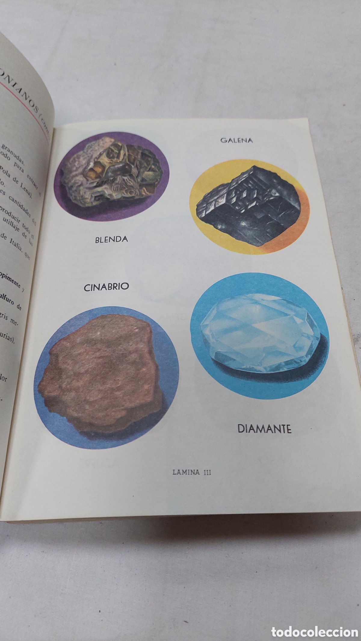 Libros de segunda mano: Ciencias naturales, 5&deg; a&ntilde;o. Ediciones SM, 1973 - Foto 4