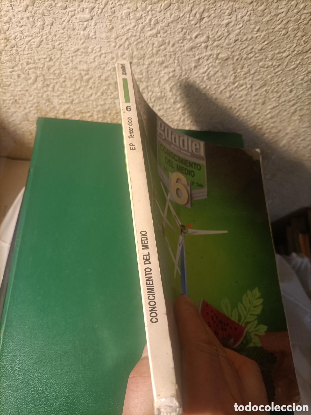 Libros de segunda mano: CONOCIMIENTO DEL CAMPO GUADIEL EP 6 2&deg; CICLO - Foto 2
