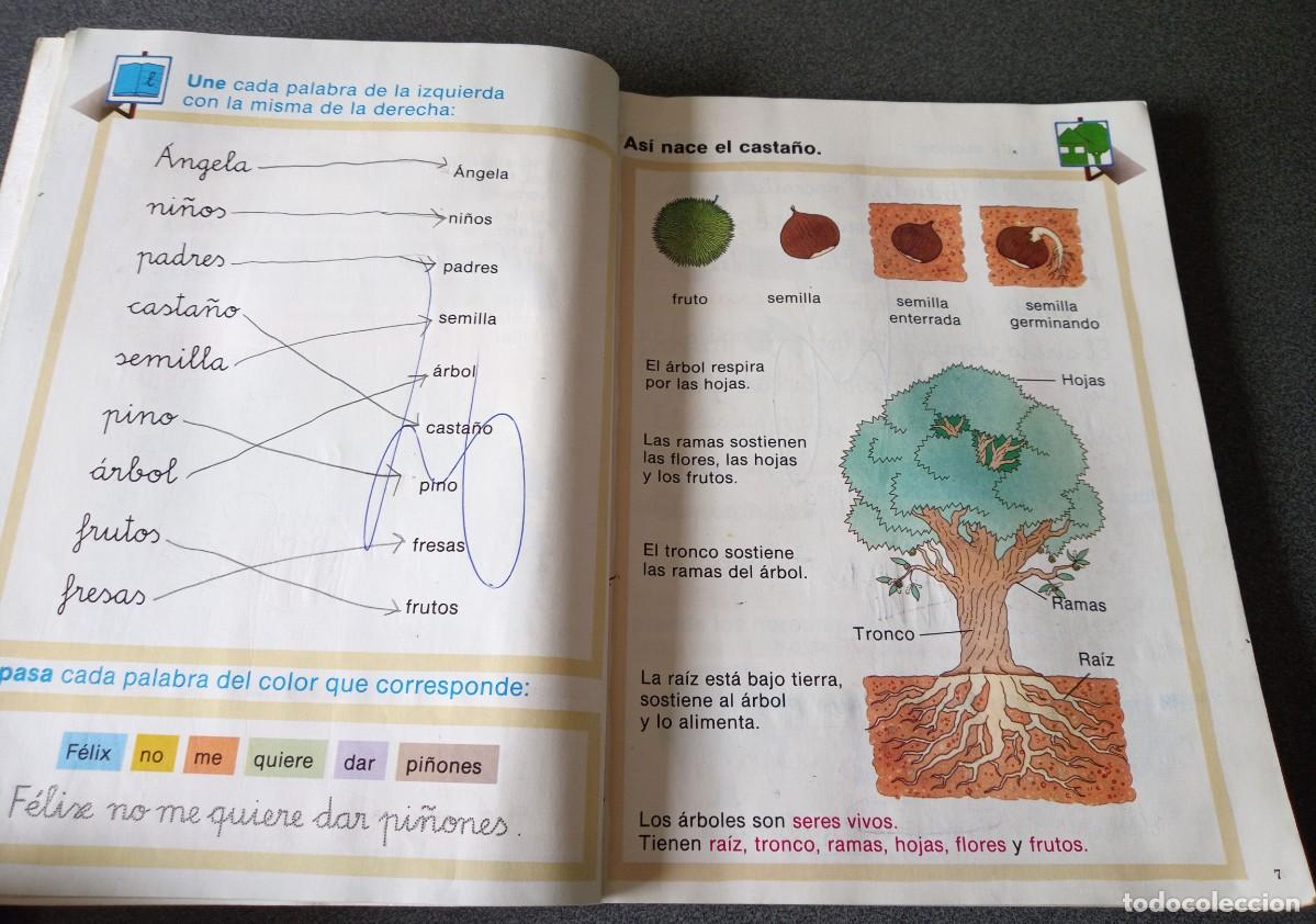 Libros de segunda mano: Corzo Anaya 1&ordm; E.G.B - Foto 6