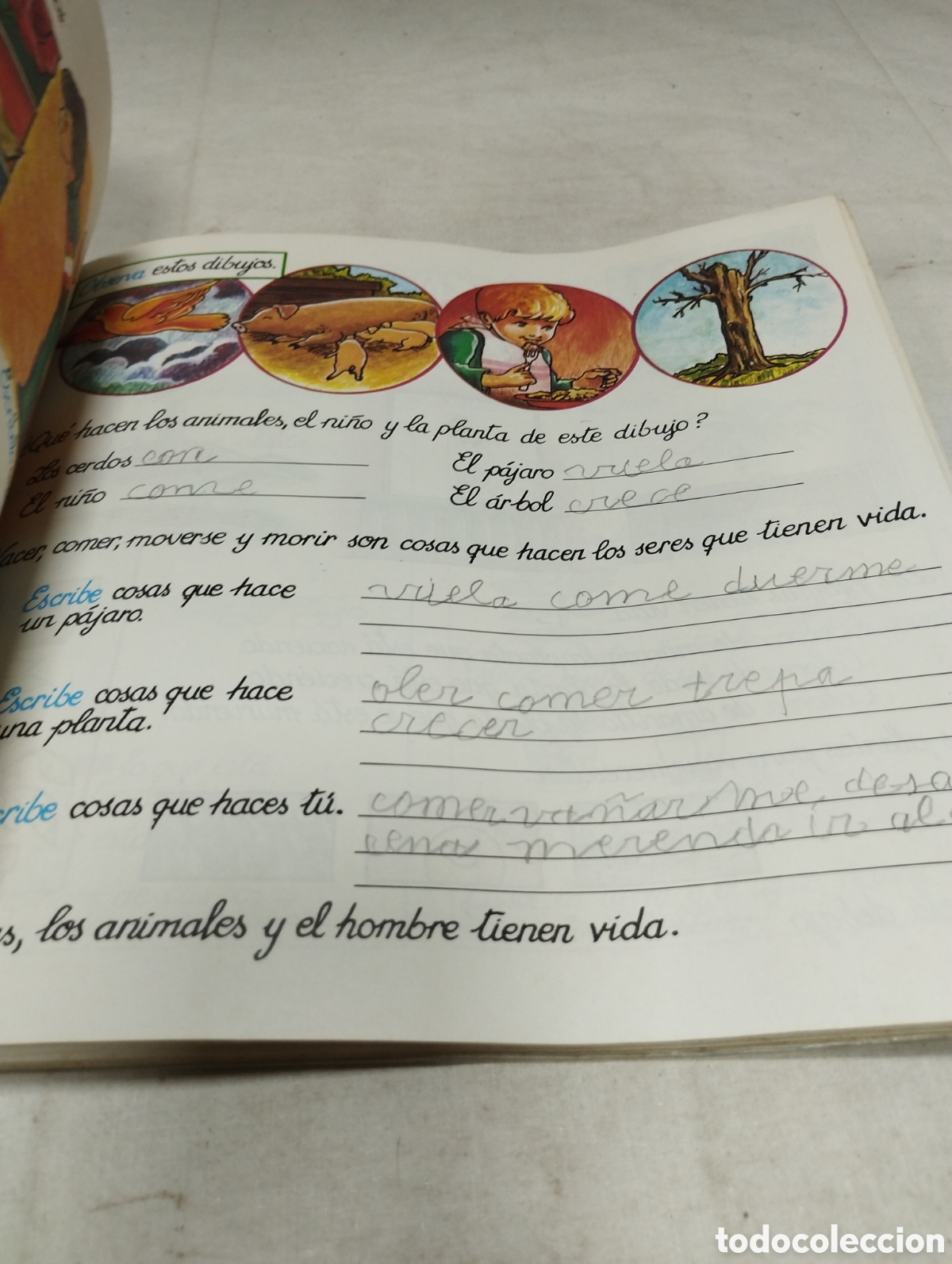 Libros de segunda mano: SER 1&deg;. Editorial Anaya, 1982 - Foto 3