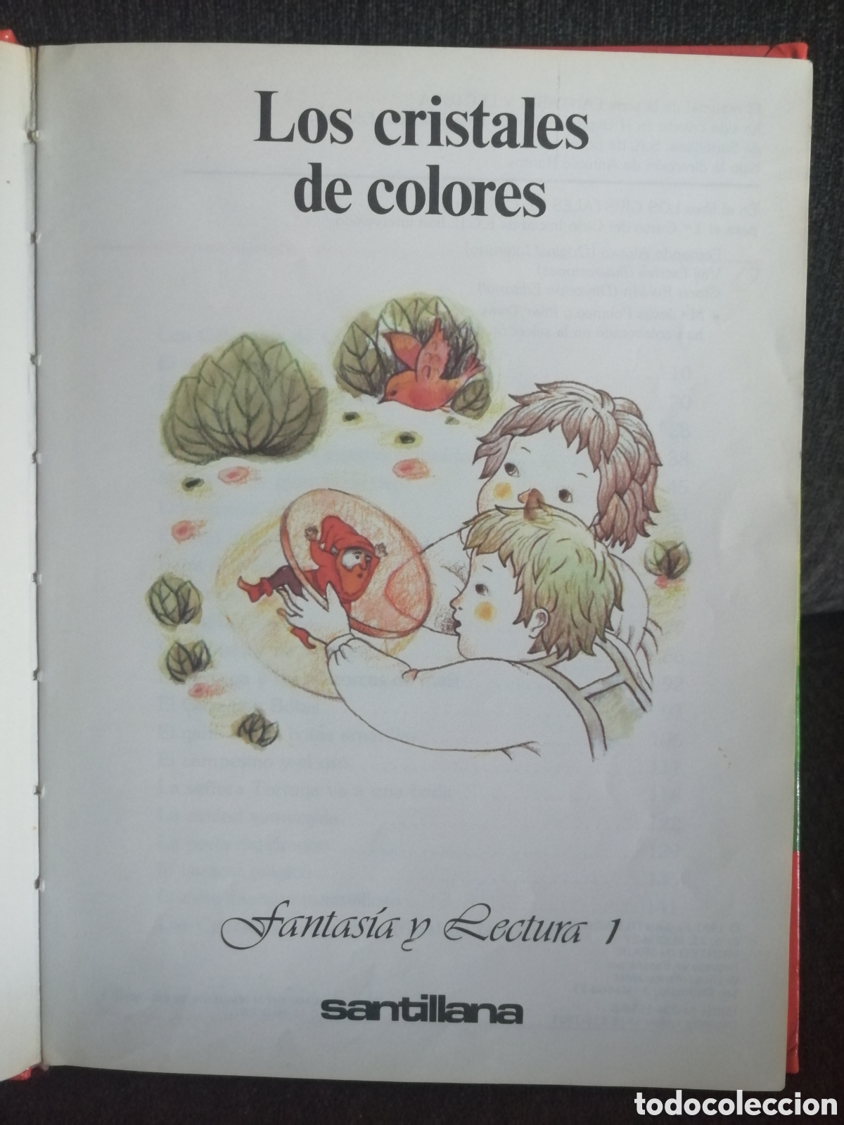 Libros de segunda mano: Cristales de colores Santillana - Foto 12