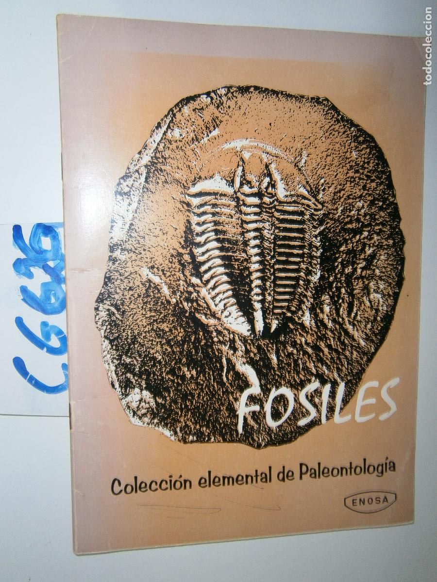 Libros de segunda mano: ANTIGUO LIBRO DE TEXTO - FOSILES - Foto 1