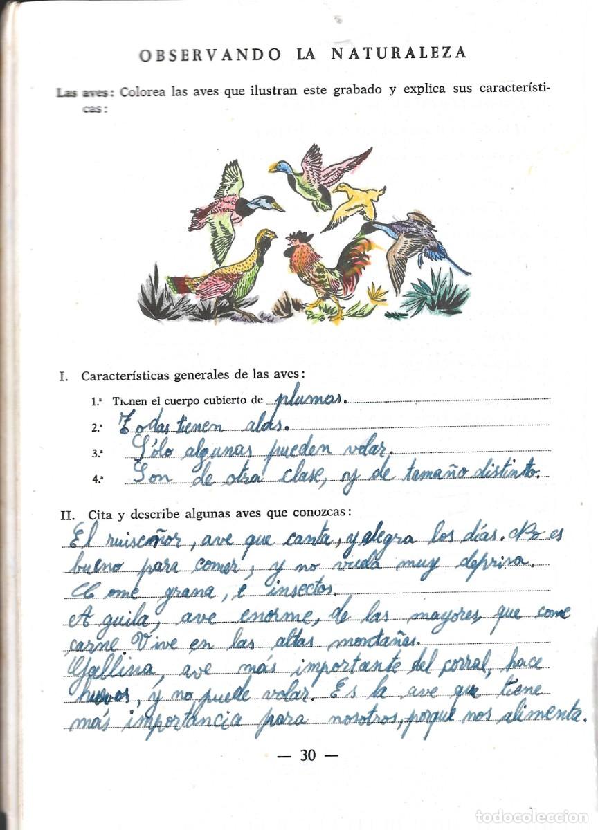 Libros de segunda mano: PR&Aacute;CTICAS Y EJERCICIOS DE VACACIONES.TEIDE 1ER. CURSO DE BACHILLERATO 1963 - Foto 2
