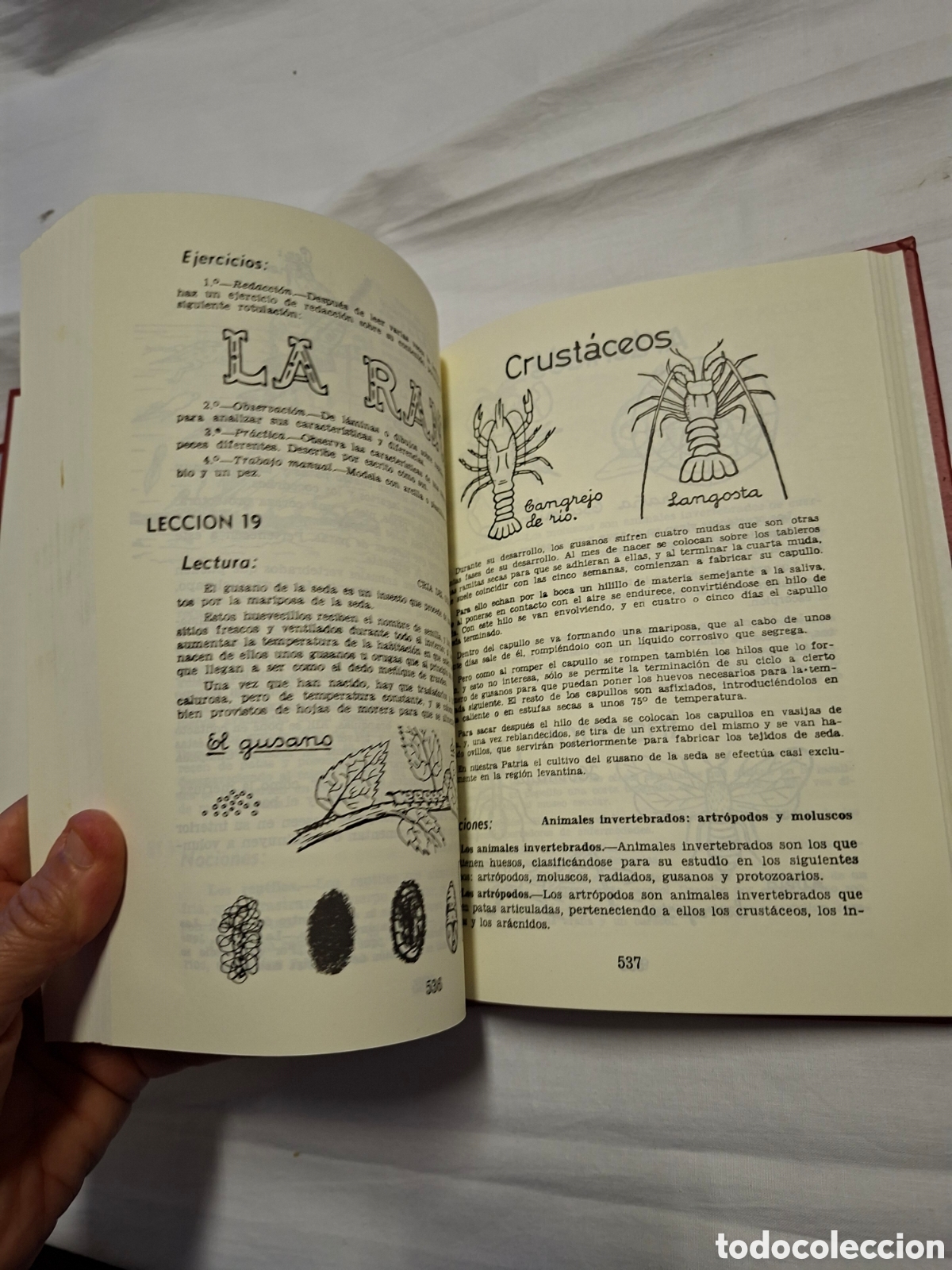 Libros de segunda mano: ENCICLOPEDIA ALVAREZ 3&ordm; GRADO I Y II.FACSIMIL.EDAF 2003 - Foto 13