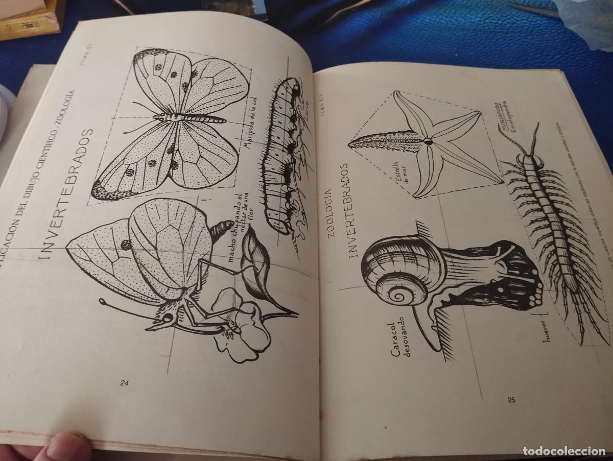 Libros de segunda mano: DIBUJO SEGUNDO CURSO FRANCISCO CARRE&Ntilde;O 1968 - Foto 3