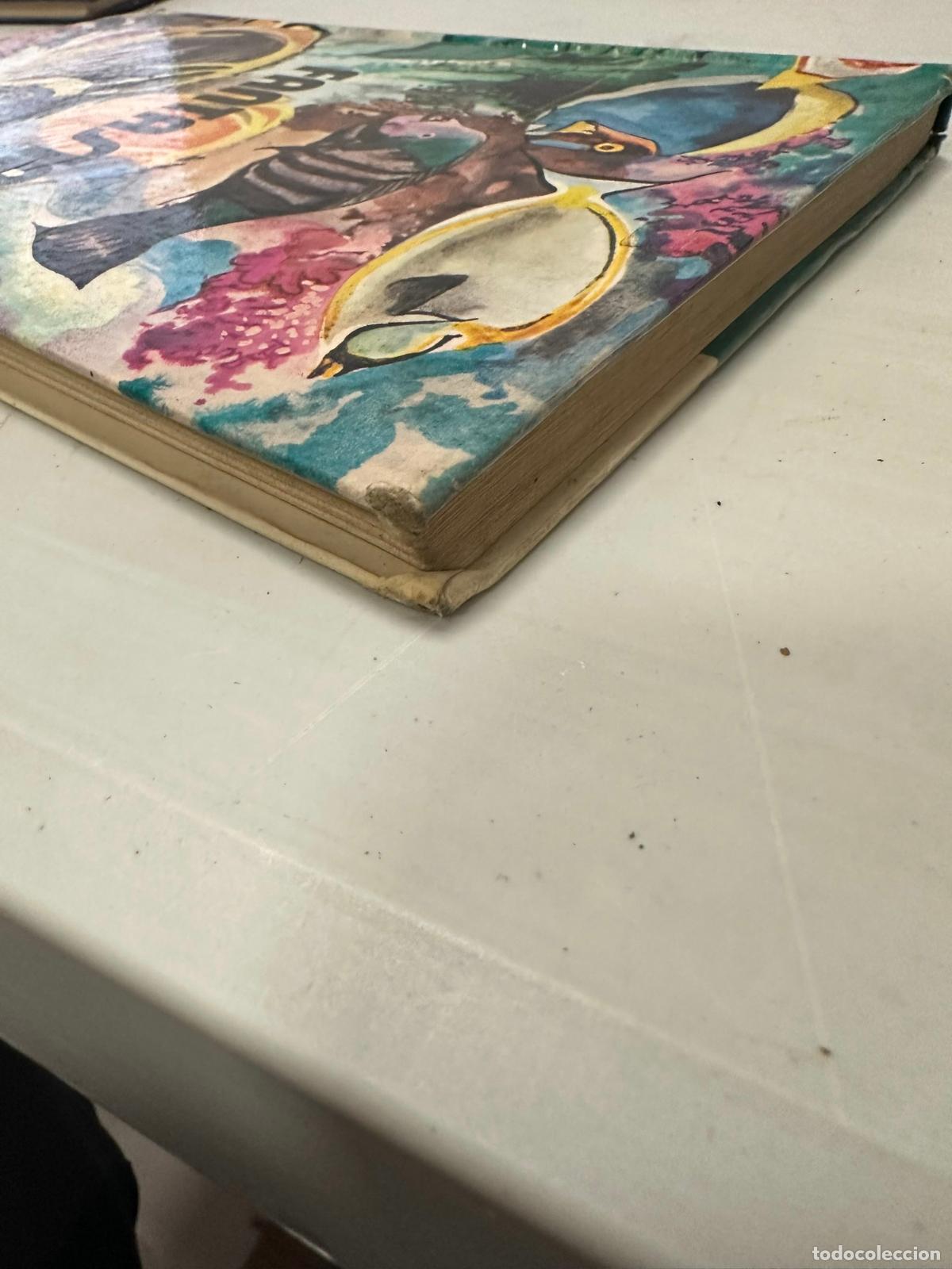 Libros de segunda mano: LECTURAS FANTASIA SM, 3 EGB - Foto 2